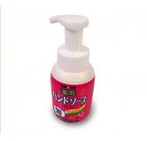 洗手液250ml